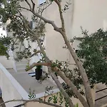 Sea View Apartment Apartment Trogir